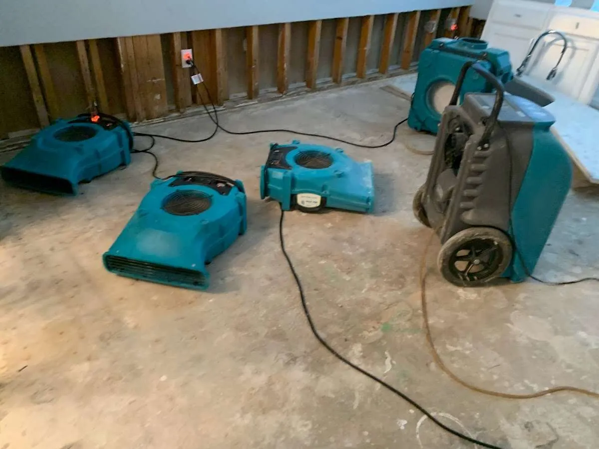 Water Damage Restoration services in St. Louis, MI
